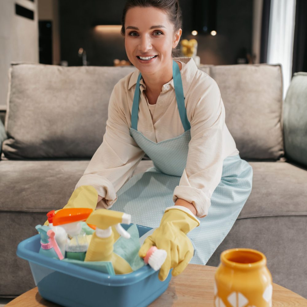 Busy day. Young woman doing housework and looking busy